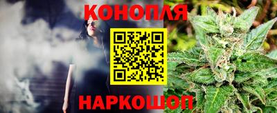 молекула духа Ставрополь