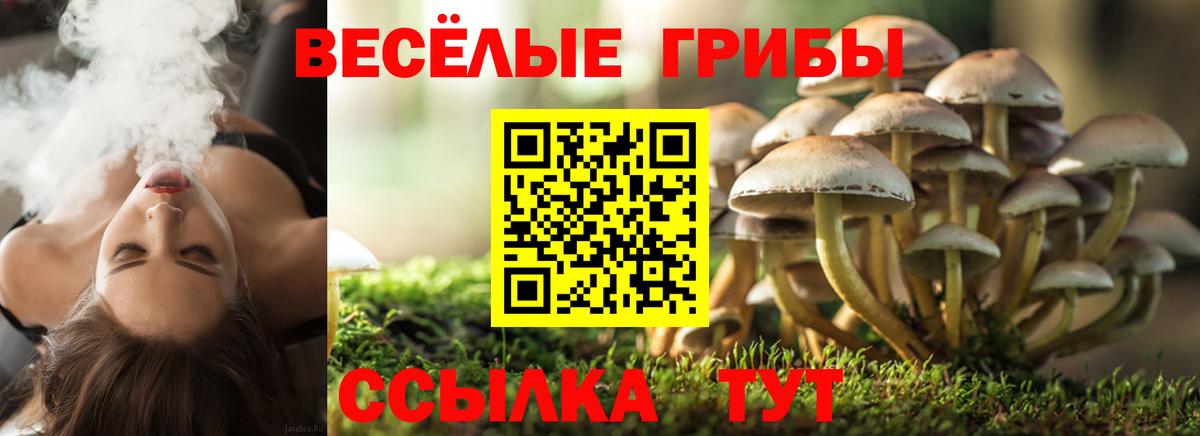 Галлюциногенные грибы Psilocybine cubensis Октябрьский